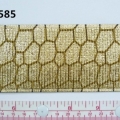 CEE0585