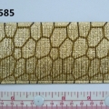 CEE0585