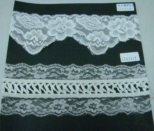 CLA5528-5529