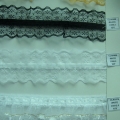 CLA0469 CLN0379