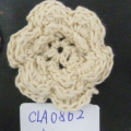 CLA0862