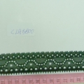CLA5800