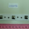 CHH0098