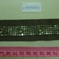CHH0101