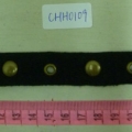 CHH0109