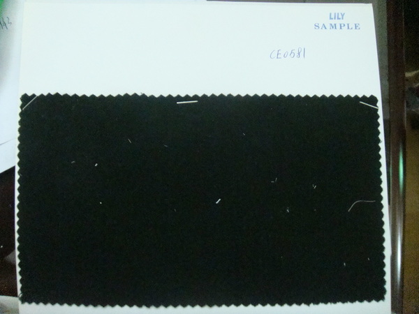 CE0581