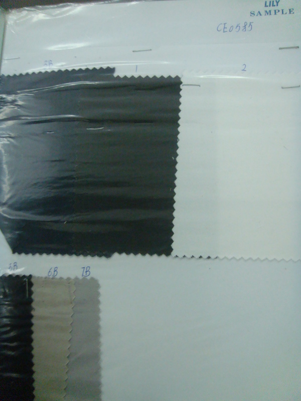 CE0585
