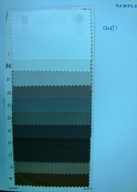 CE0897-2