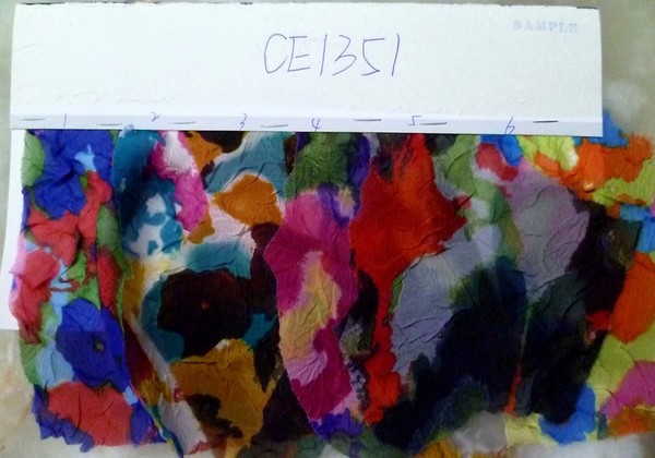 CE1351