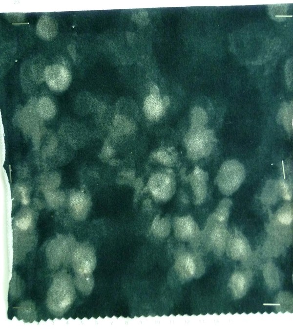 CE1504