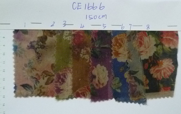 CE1666