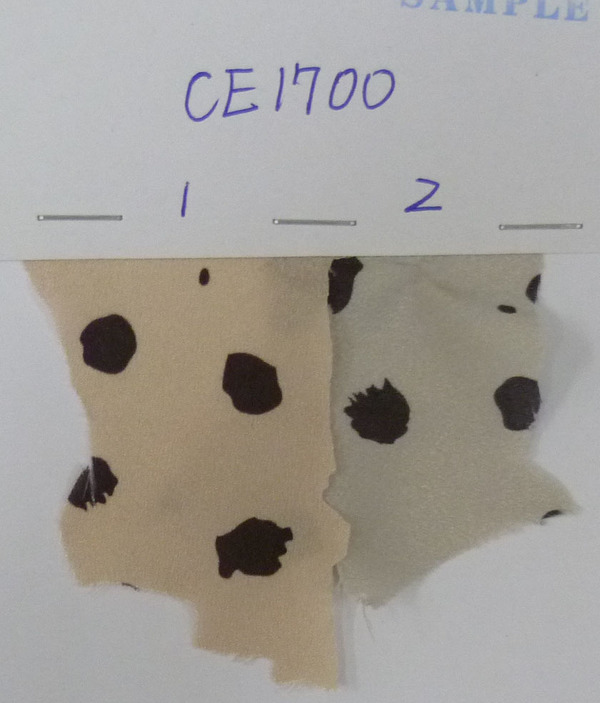 CE1700