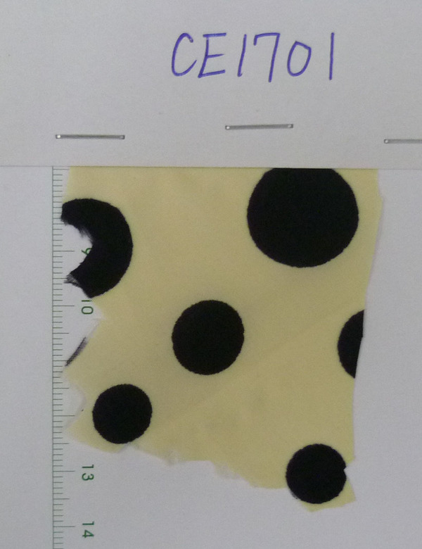 CE1701