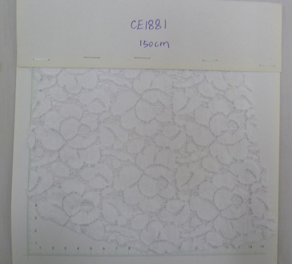 CE1881