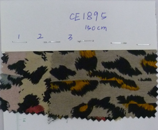 CE1895