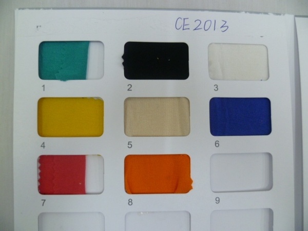 CE2013.