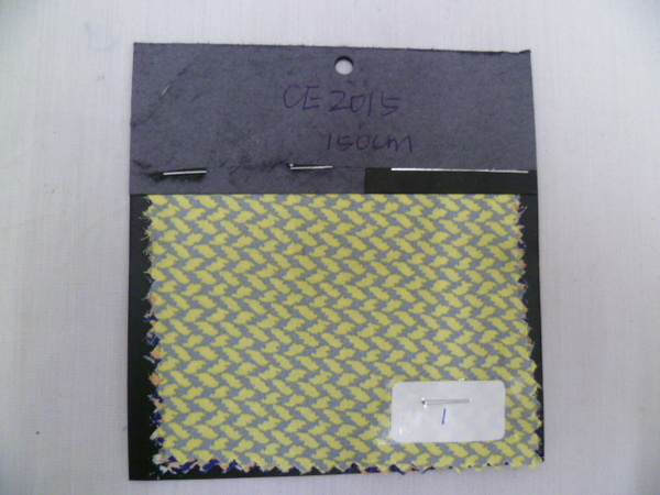 CE2015