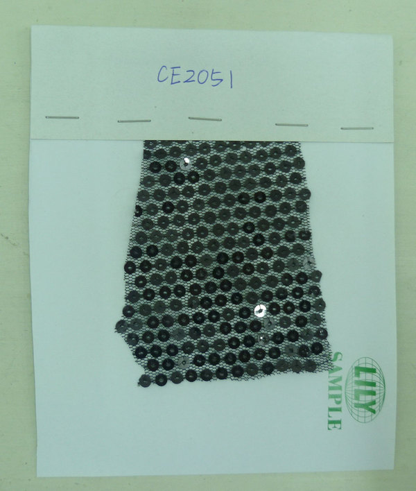 CE2051