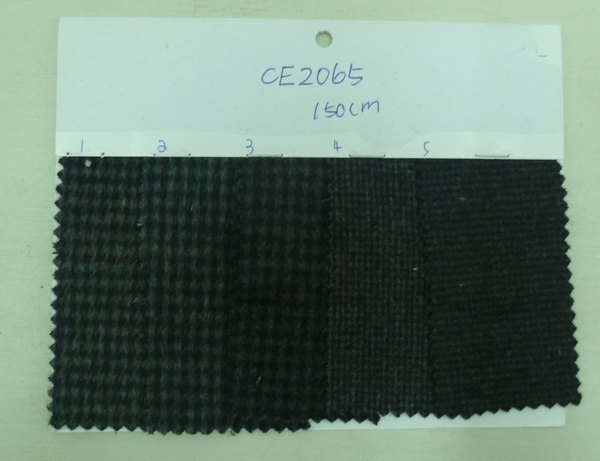 CE2065