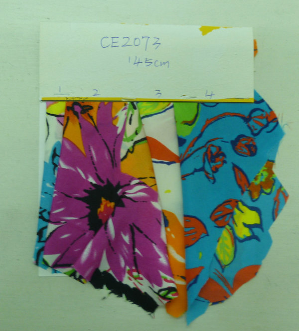 CE2073