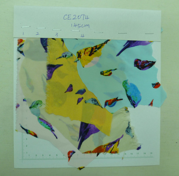 CE2074