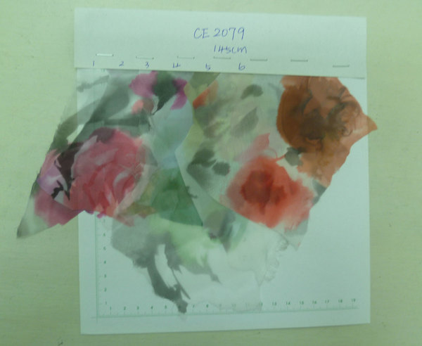 CE2079