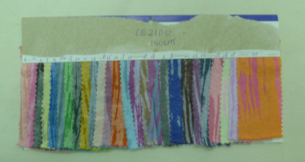 CE2100
