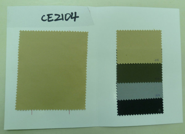 CE2104