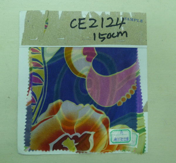 CE2124