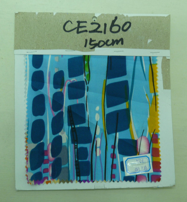 CE2160