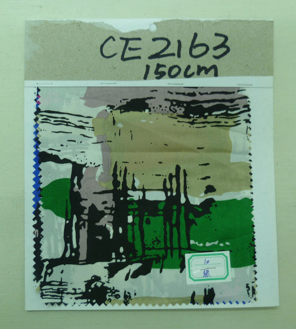 CE2163