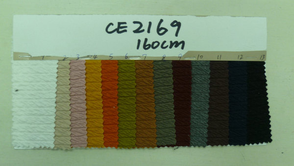 CE2169