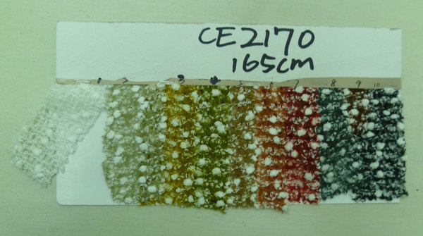 CE2170