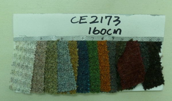 CE2173