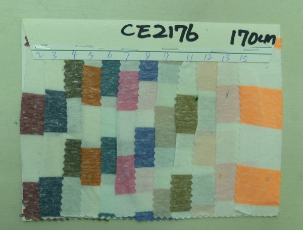 CE2176