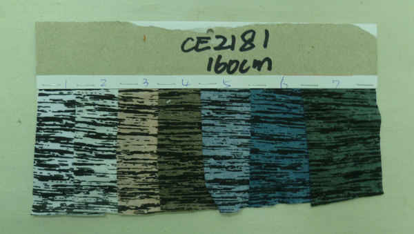 CE2181