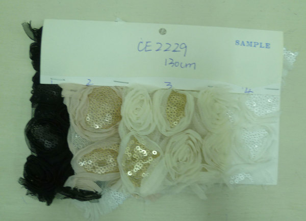 CE2229
