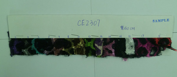 CE2307