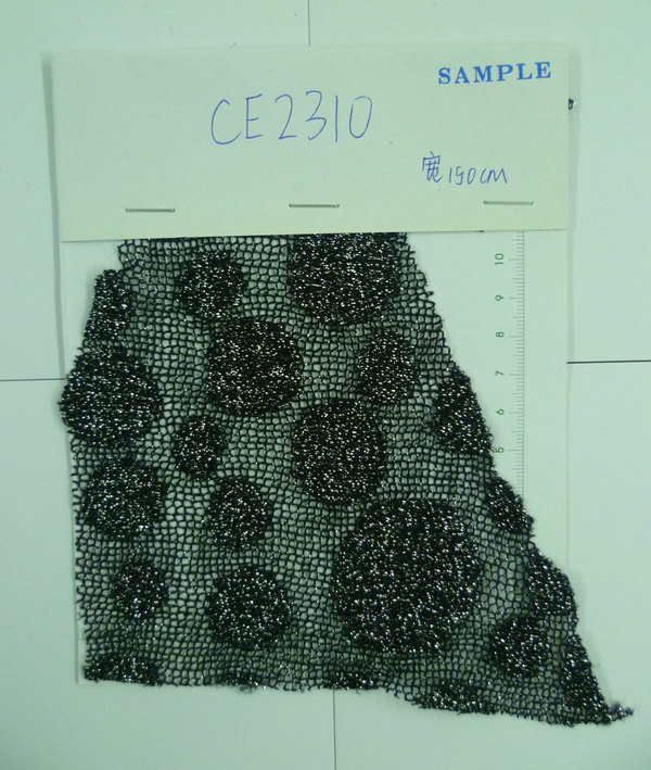 CE2310