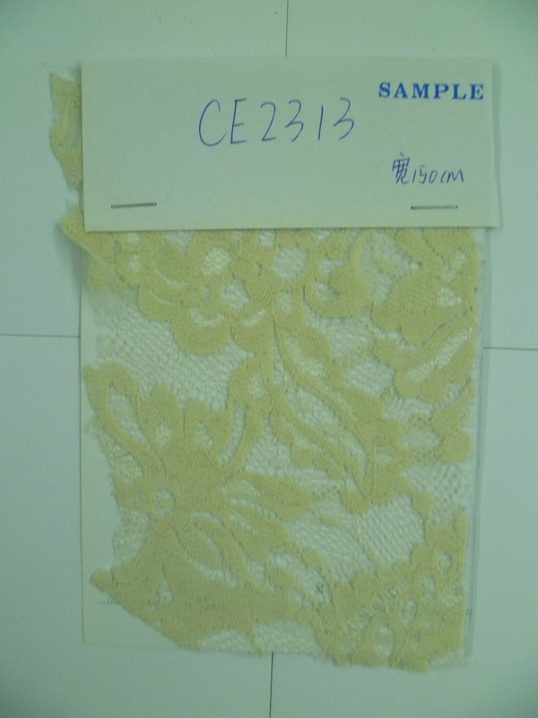 CE2313