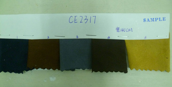 CE2317