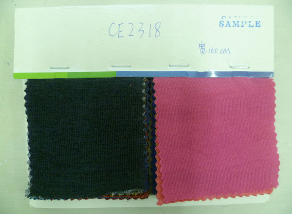 CE2318