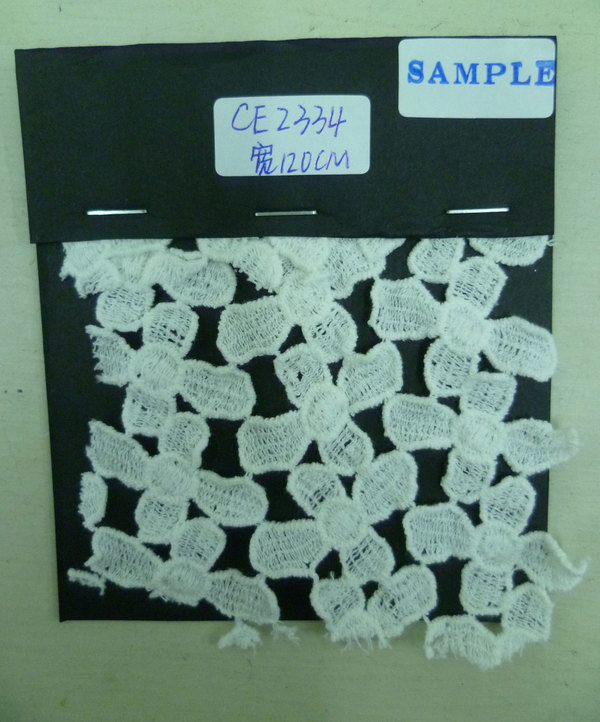 CE2334