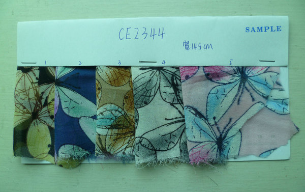 CE2344