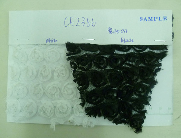 CE2366