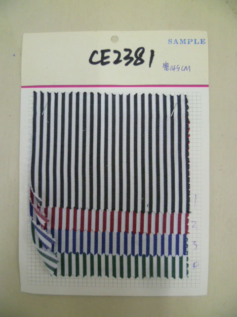 CE2381