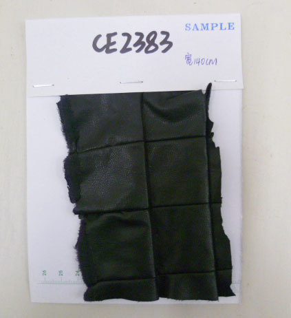 CE2383