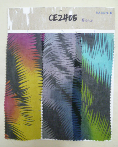 CE2405