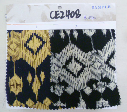 CE2408