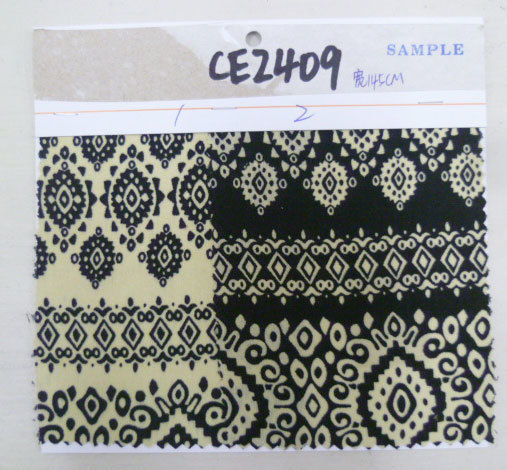 CE2409